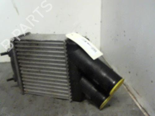 Used Other RENAULT SCÉNIC I MPV (JA0/1_, FA0_) 1.9 dCi (JA05, JA1F) (102 hp) 14883402