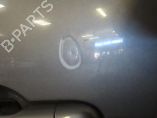 Left front door RENAULT SCÉNIC III (JZ0/1_) 1.5 dCi | BP21049725C2 