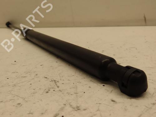 Tailgate lift support PEUGEOT 308 II (LB_, LP_, LW_, LH_, L3_) 1.6 BlueHDi 120 | BP29601332C138 