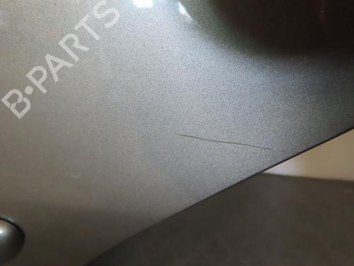 Left rear door LANCIA MUSA (350_) 1.3 D Multijet (350.AXG11, 350.AXG1A) | BP17781647C4 