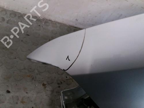 Left front fenders RENAULT FLUENCE (L3_) 1.5 dCi (L30A) | BP12528940C41 