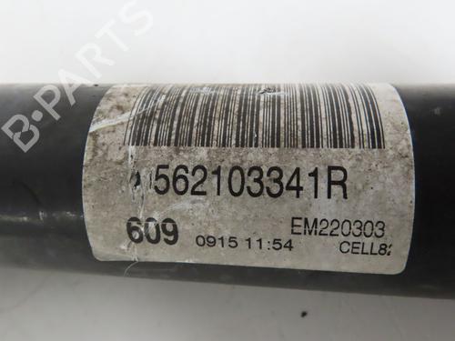 Amortecedor trás esquerdo RENAULT MEGANE IV Grandtour (K9A/M/N_) 1.5 dCi 110 (110 hp) 32151181