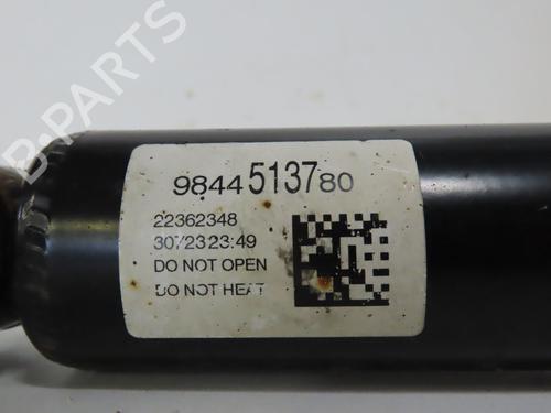 Used Left rear shock absorber Left rear shock absorber PEUGEOT 308 III (FB_, FH_, FP_, F3_, FM_) BlueHDi 130 (FBYHZL, FBYHZT) (131 hp) 39454021 39454021