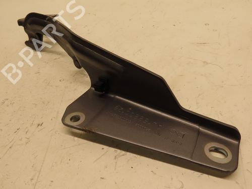 Hinge/Door check strap RENAULT KANGOO / GRAND KANGOO II (KW0/1_) 1.5 dCi 90 (KW05, KW08, KW0G, KW11) | BP29345773C146 