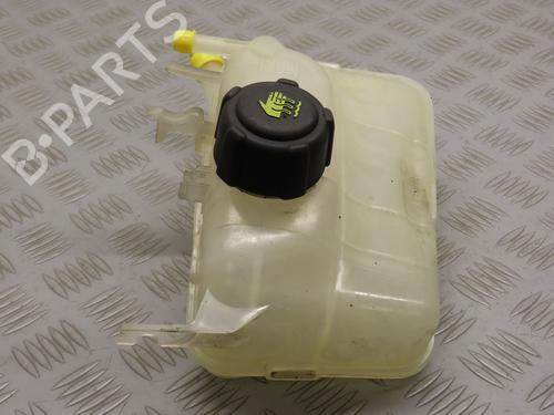 Used Expansion tank RENAULT MEGANE III Coupe (DZ0/1_) 1.5 dCi (DZ09, DZ0D, DZ1F, DZ1G, DZ14, DZ29) (110 hp) 21113313