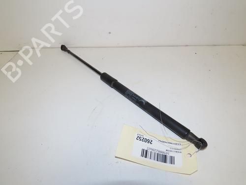 tailgate-lift-support-citroen-c3-iii-sx-2016-33835526 main image