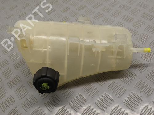 Used Expansion tank RENAULT KANGOO Express (FW0/1_) 1.5 dCi 90 (FW0G, FW05, FW08, FW11) (90 hp) 20162663