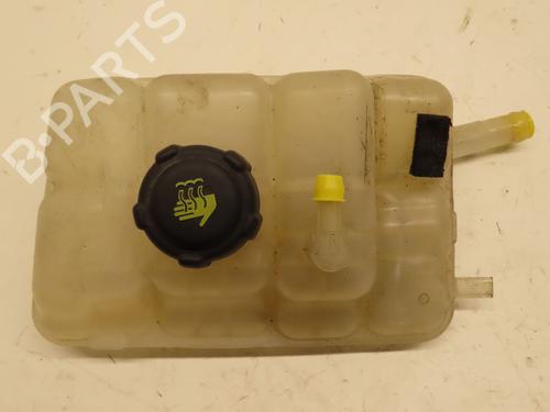 Expansion tank RENAULT MEGANE IV Hatchback (B9A/M/N_) 1.2 TCe 130 (B9MR) | BP29380205C120 