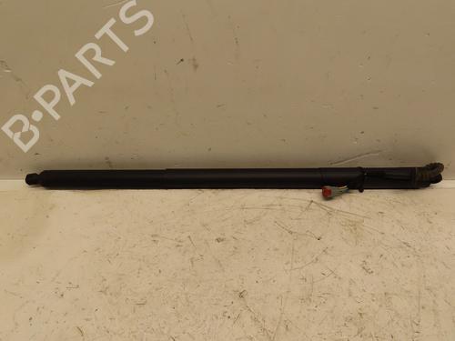 Gasdæmper bagklap FORD PUMA (J2K, CF7) 1.0 EcoBoost mHEV | BP29046037C138 