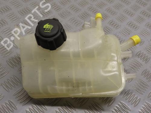 Used Expansion tank RENAULT MEGANE III Coupe (DZ0/1_) 1.5 dCi (DZ09, DZ0D, DZ1F, DZ1G, DZ14, DZ29) (110 hp) 21113313