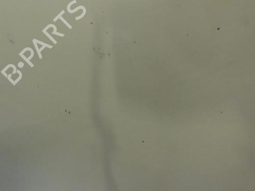 Hood RENAULT KANGOO Express (FW0/1_) 1.5 dCi 85 (FW0K, FW0L, FW0B) | BP23934576C1 