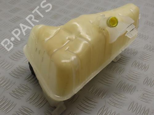 Expansion tank RENAULT KANGOO Express (FW0/1_) 1.5 dCi 90 (FW0G, FW05, FW08, FW11) | BP20162663C120 