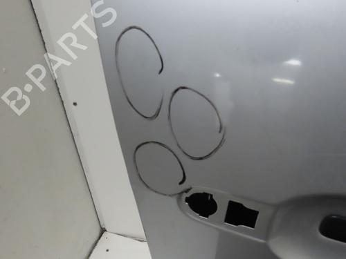 Right front door RENAULT SCÉNIC III (JZ0/1_) 1.5 dCi | BP29643746C3 