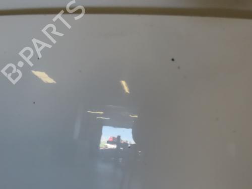 Used Hood PEUGEOT 206+ (2L_, 2M_) 1.4 HDi eco 70 (68 hp) 19104387