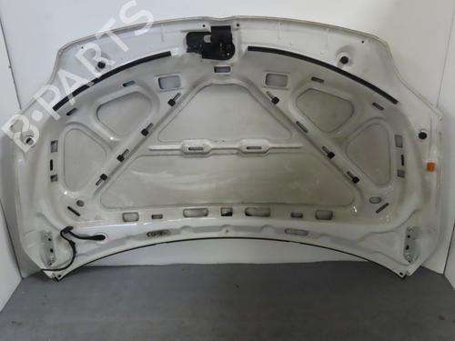 Hood VW GOLF PLUS V (5M1, 521) 1.9 TDI | BP17780615C1 