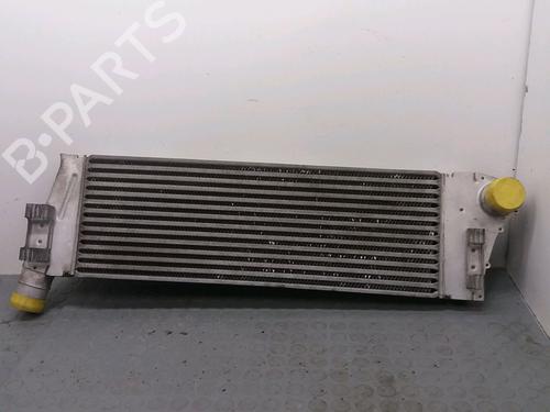 Other RENAULT MEGANE II (BM0/1_, CM0/1_) 1.9 dCi (BM0G, CM0G) | BP14883401O1 