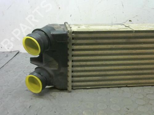 Other CITROËN BERLINGO / BERLINGO FIRST Box Body/MPV (M_) 1.6 HDI 75 (MB9HW) | BP23154086O1