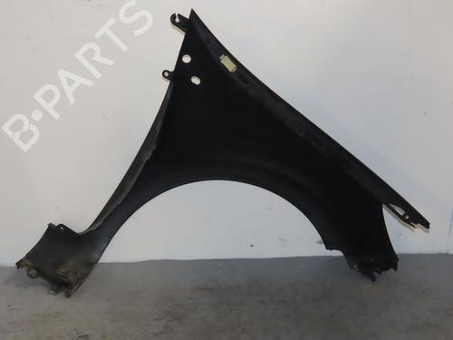 Left front fenders RENAULT CLIO III (BR0/1, CR0/1) 1.5 dCi (BR17, CR17) | BP23099016C41 