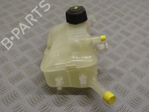 Expansion tank RENAULT MEGANE III Coupe (DZ0/1_) 1.5 dCi (DZ09, DZ0D, DZ1F, DZ1G, DZ14, DZ29) | BP21113313C120