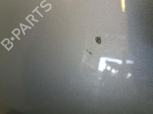 Left front door PEUGEOT 1007 (KM_) 1.6 HDi | BP17781005C2