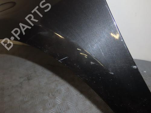 Left front fenders RENAULT CLIO III (BR0/1, CR0/1) 1.5 dCi (BR17, CR17) | BP23099016C41 