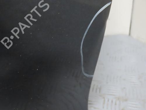 Left front door RENAULT CLIO III (BR0/1, CR0/1) 1.6 16V (BR05, BR0B, BR0Y, BR15, BR1J, BR1M, BR1Y, CR0B,... | BP24534667C2 