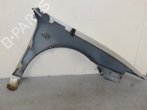 Left front fenders SEAT LEON (1M1) 1.9 TDI | BP26442391C41 