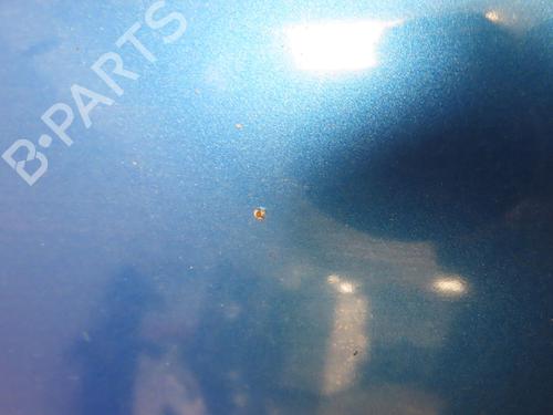 Used Hood PEUGEOT 206+ (2L_, 2M_) 1.4 HDi eco 70 (68 hp) 30404353