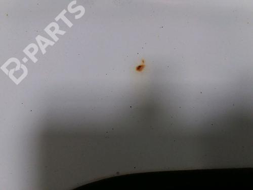 Right tailgate RENAULT KANGOO Express (FC0/1_) 1.5 dCi (FC1E) | BP11230519C77 