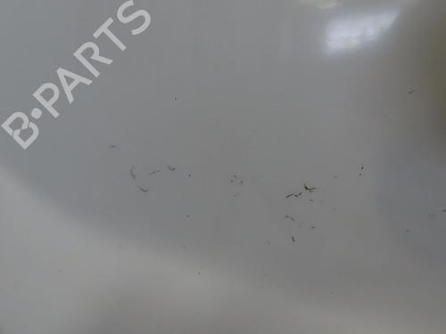 Left front door RENAULT TRAFIC II Van (FL) 2.0 dCi 115 (FL01, FL0U, FL00, FL0H, FL0M) | BP23099031C2 