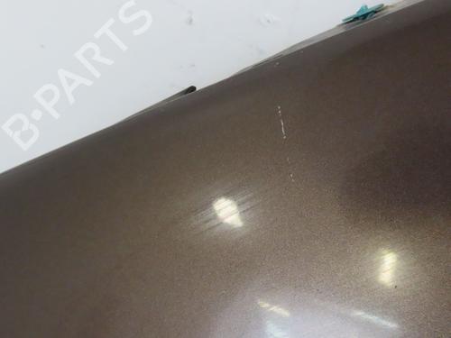 Left front fenders RENAULT SCÉNIC III (JZ0/1_) 1.9 dCi (JZ0J, JZ1J, JZ1K, JZ1S) | BP18148854C41 