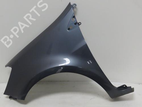 Left front fenders RENAULT CLIO III (BR0/1, CR0/1) 1.5 dCi (C/BR0G, C/BR1G) | BP29643710C41 