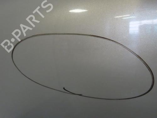 Left front door CITROËN C3 I (FC_, FN_) 1.4 16V HDi | BP21800139C2 