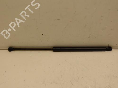 Tailgate lift support PEUGEOT 308 II (LB_, LP_, LW_, LH_, L3_) 1.6 BlueHDi 120 | BP29601333C138 
