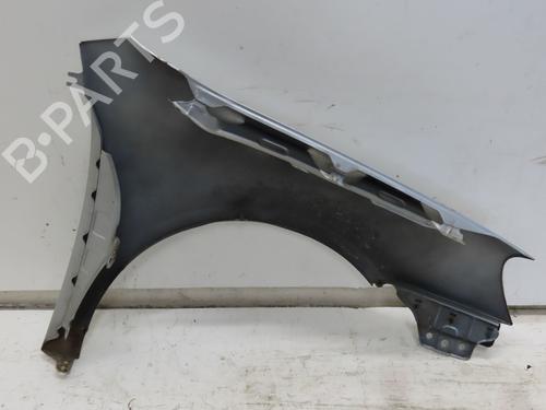 Left front fenders VW GOLF V (1K1) 1.9 TDI | BP29442061C41 