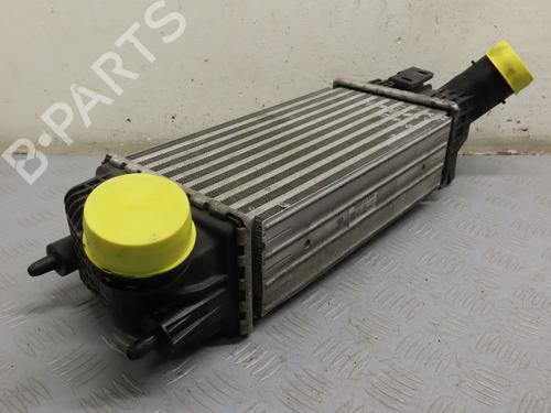 Intercooler CITROËN C5 III Break (RW_) 2.0 HDi 140 | BP23098926M30 - Image 5