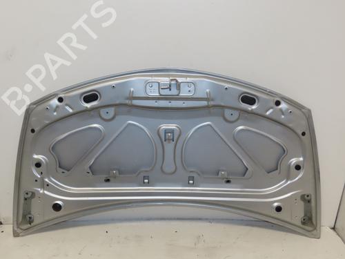 Used Hood RENAULT CLIO III (BR0/1, CR0/1) 1.5 dCi (75 hp) 30311504