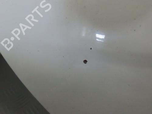 Tailgate RENAULT CLIO II Hatchback Van (SB0/1/2_) 1.5 dCi | BP17781964C6 