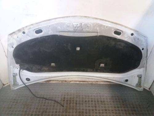 Hood RENAULT CLIO III (BR0/1, CR0/1) 1.5 dCi (C/BR0G, C/BR1G) | BP9377814C1