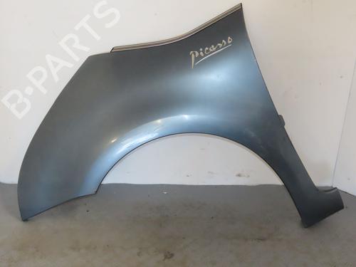 Aile avant gauche CITROËN C4 Picasso I MPV (UD_) 2.0 HDi 150 | BP25610946C41