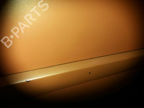 Right front door RENAULT MEGANE II (BM0/1_, CM0/1_) 2.0 | BP23155163C3 