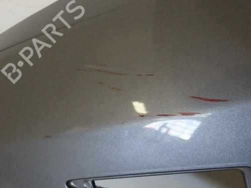 Left front fenders RENAULT SCÉNIC II (JM0/1_) 1.5 dCi (JM1E, JM16) | BP24103357C41