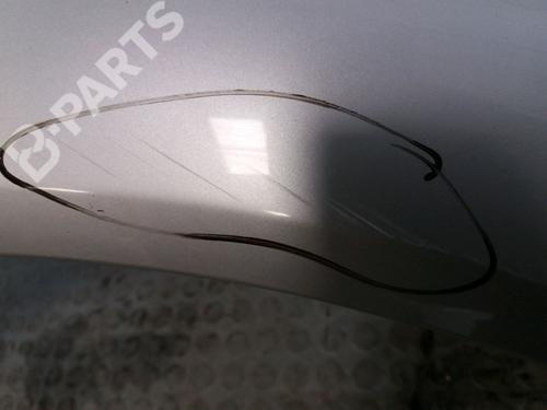 Right front fenders RENAULT MEGANE II (BM0/1_, CM0/1_) 1.5 dCi (BM1E, CM1E) | BP11921580C42 