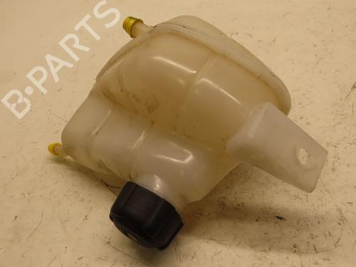 Expansion tank RENAULT KADJAR (HA_, HL_) 1.2 TCe 130 (HLMR) | BP29319271C120 