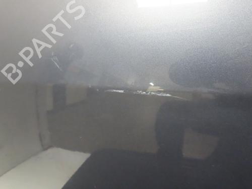 Right rear door RENAULT CLIO III (BR0/1, CR0/1) 1.5 dCi (C/BR0G, C/BR1G) | BP29643797C5 