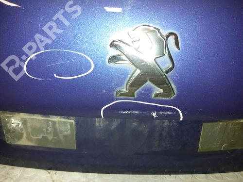Tailgate PEUGEOT 208 I (CA_, CC_) 1.6 HDi | BP11499779C6 