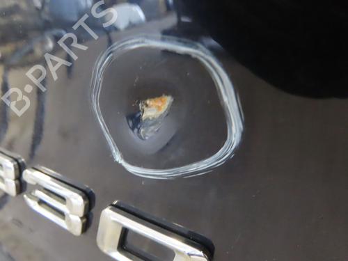 Tailgate BMW 3 (E90) 330 xd | BP24920159C6 