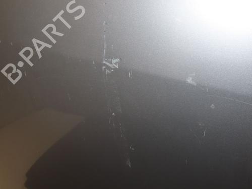 Right front door RENAULT SCÉNIC III (JZ0/1_) 1.5 dCi | BP29643746C3 