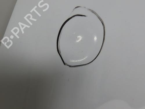 Hood RENAULT CLIO IV (BH_) 1.5 dCi 90 | BP29196180C1 