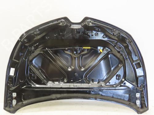 Used Hood RENAULT CLIO V (B7_) 1.0 LPG (B7MT) (101 hp) 29740040